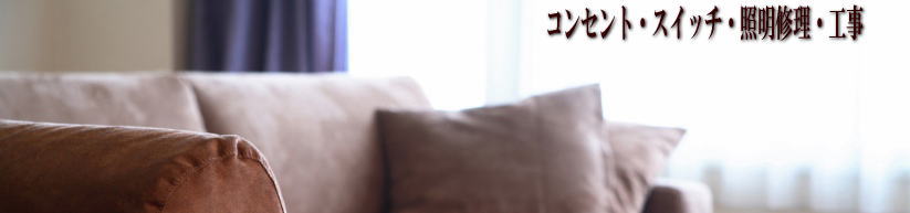 �R���Z���g�E�X�C�b�`�E�Ɩ��H��